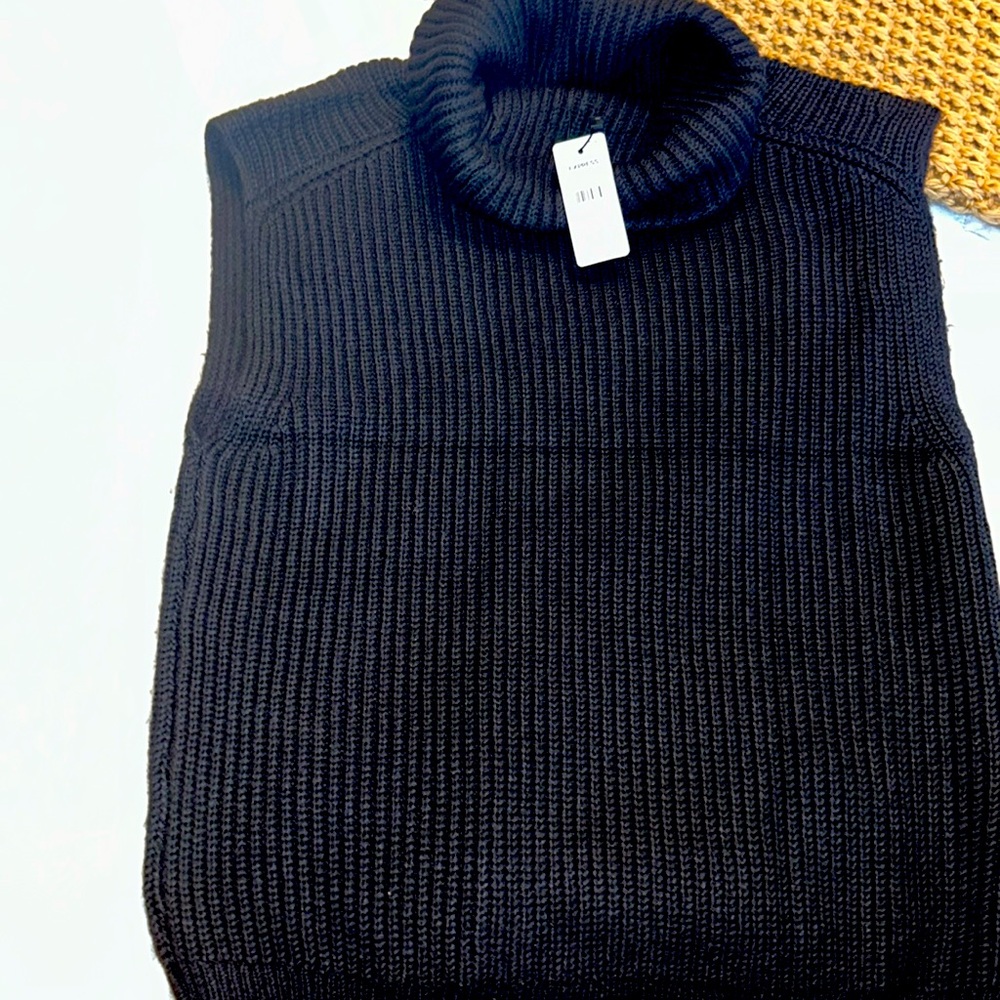 Express short sleeve turtleneck sweater vest
